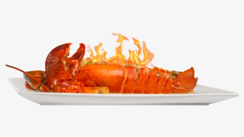 Fire, HD Png Download, Transparent PNG