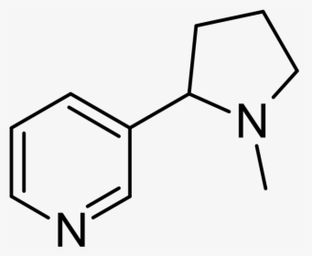 3 Hydroxy 6 Methylpyridine, HD Png Download, Transparent PNG