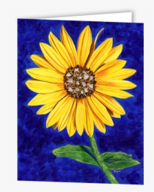 Sunflower Card - African Daisy, HD Png Download, Transparent PNG