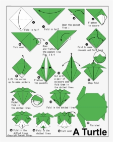 Easy Step By Step Easy Origami Turtle, HD Png Download, Transparent PNG