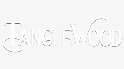 Logo2-whiteshadow, HD Png Download, Transparent PNG
