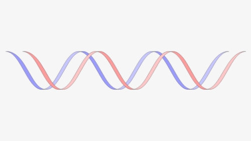 Stylized Dna, HD Png Download, Transparent PNG