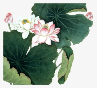 Hand Painted Lotus Flower Plant Transparent - Chinese Painting Lotus Flower, HD Png Download, Transparent PNG