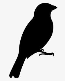Oriole Publishing For Wind Quintet / Woodwood Quintet - Perching Bird, HD Png Download, Transparent PNG
