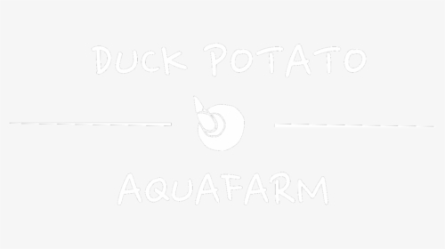 Dpa Logo White - Line Art, HD Png Download, Transparent PNG