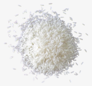 Grain De Riz Png , Png Download - White Rice Free Png, Transparent Png, Transparent PNG