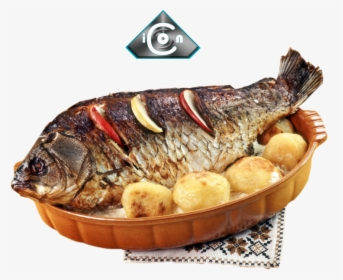 Fish Meal Png, Transparent Png, Transparent PNG