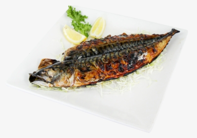 Pacific Saury, HD Png Download, Transparent PNG