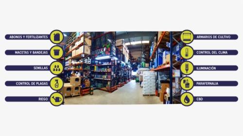 Shelf, HD Png Download, Transparent PNG