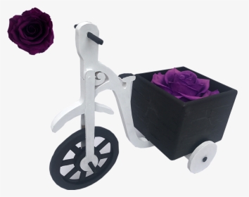 Rosa Roja Png, Transparent Png, Transparent PNG