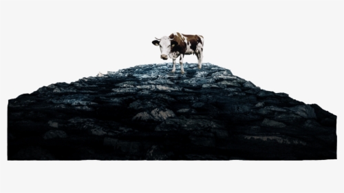 Heavens Cow Rocks Only - Dairy Cow, HD Png Download, Transparent PNG