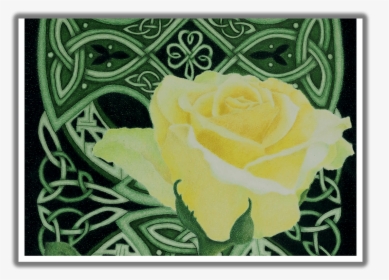 Emerald Enchantment Close-up St - Floribunda, HD Png Download, Transparent PNG