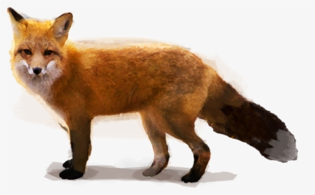 Red Fox - Swift Fox, HD Png Download, Transparent PNG