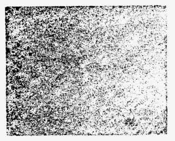 Monochrome, HD Png Download, Transparent PNG