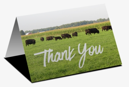 Thank You Dairy, HD Png Download, Transparent PNG