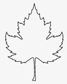 Sycamore Leaf Pattern - Nyomtatható Falevél, HD Png Download, Transparent PNG