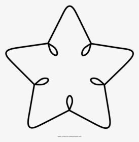 Estrella De Mar Página Para Colorear - Line Art, HD Png Download, Transparent PNG