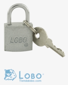 Chain, HD Png Download, Transparent PNG