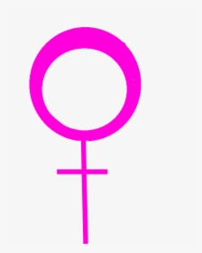 Female Symbol - Circle, HD Png Download, Transparent PNG