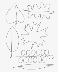 Desenho De Folhas De Árvores, HD Png Download, Transparent PNG