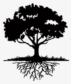 Tree Png - Tree With Roots Silhouette, Transparent Png, Transparent PNG