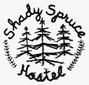 Spruce Png, Transparent Png, Transparent PNG