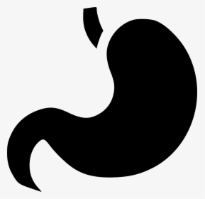 Digestion Stomach Getroenterology Organ Healthcare - Digestion Icon Png, Transparent Png, Transparent PNG