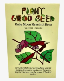 Ruby Moon Hyacinth Bean - Seed, HD Png Download, Transparent PNG