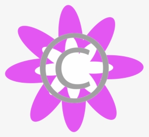 Circle, HD Png Download, Transparent PNG