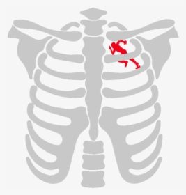 Pregnant Skeleton Vector, HD Png Download, Transparent PNG