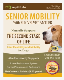 Senior Mobility For Dogs - Companion Dog, HD Png Download, Transparent PNG