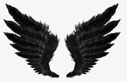 #feather #feathers #featherwings #blackwongs #wings - Wings Png, Transparent Png, Transparent PNG