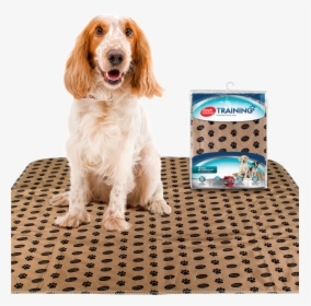 Simple Solution Large Washable Puppy Pad - Pee Pads For Dogs, HD Png Download, Transparent PNG