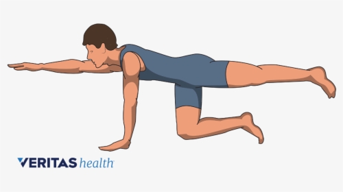 Exercises After Spinal Fusion, HD Png Download, Transparent PNG