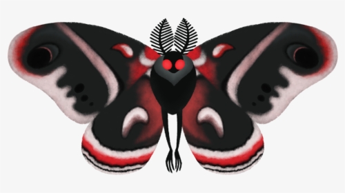 Brush-footed Butterfly, HD Png Download, Transparent PNG