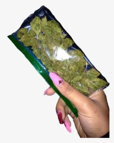 Weed In Girls Hand, HD Png Download, Transparent PNG