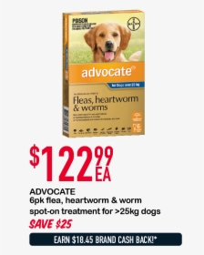 Advocate 6 Doses For Dogs Over 25kg, HD Png Download, Transparent PNG