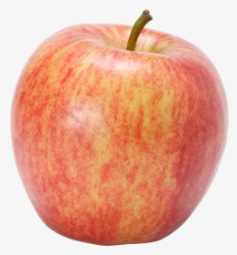 Gala Apples Png - Honeycrisp Apple Transparent Background, Png Download, Transparent PNG