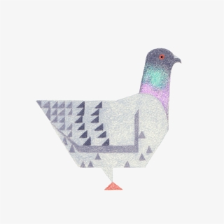 Pigeon, HD Png Download, Transparent PNG