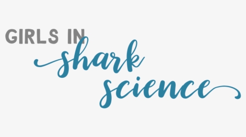Shark Science 03 - Calligraphy, HD Png Download, Transparent PNG