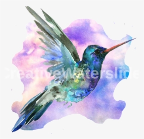 Ruby-throated Hummingbird, HD Png Download, Transparent PNG