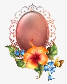 Chinese Hibiscus, HD Png Download, Transparent PNG