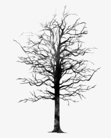 Bird Tree Png Monochrome- - Silhouette, Transparent Png, Transparent PNG