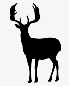 Deer Silhouette Canvas Print - Deer Silhouette, HD Png Download, Transparent PNG