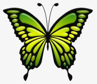 Green Butterfly Png , Png Download, Transparent Png, Transparent PNG