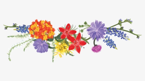 Texas Wildflower Vodka - Wildflowers Clipart Free, HD Png Download, Transparent PNG
