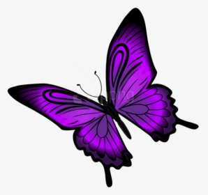 Free Png Download Purple Butterfly Png Clipart Png - Transparent Background Purple Butterfly Clipart, Png Download, Transparent PNG