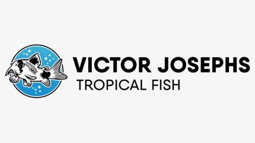 Vj Tropical Fish - Oval, HD Png Download, Transparent PNG