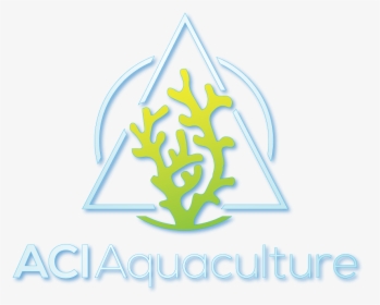 Aci Aquaculture Wholesale - Electric Blue, HD Png Download, Transparent PNG