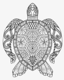 Sea Turtle Line Drawing - Mandala Animal Colouring Pages, HD Png Download, Transparent PNG